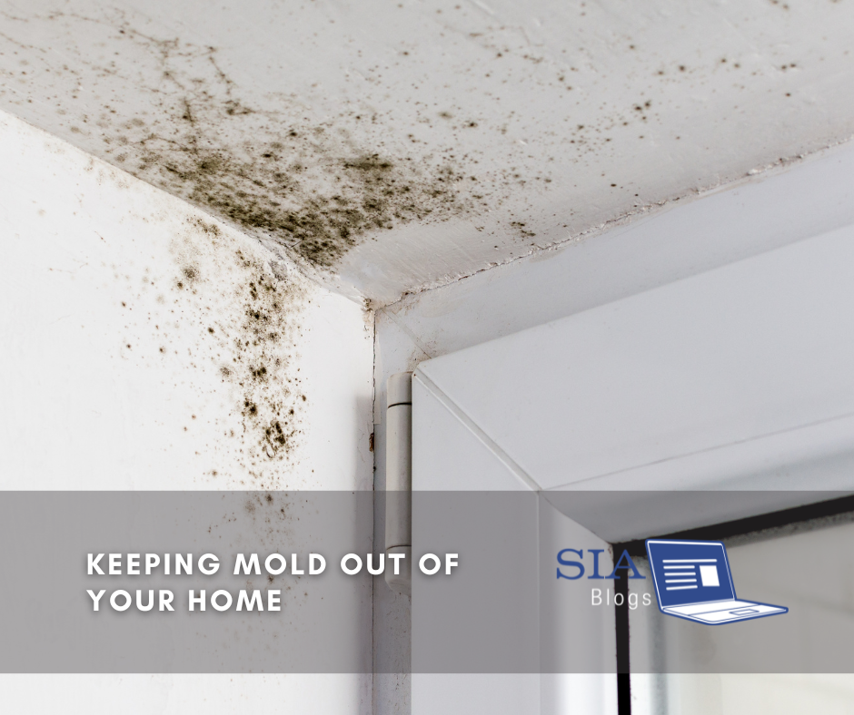 Mold is visibly growing in the corner of a room, accumulating along the ceiling and wall. The image highlights the importance of mold prevention and home maintenance.