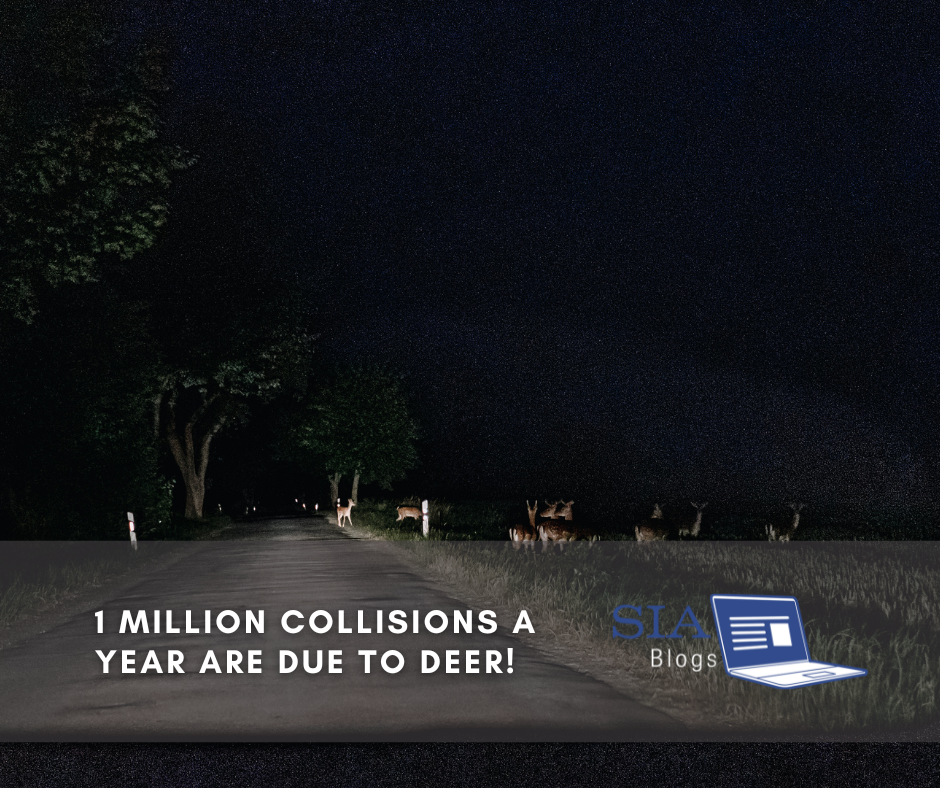 A dark, empty road at night is illuminated by a soft light, revealing several deer standing near the side of the road. The caption reads, "1 Million Collisions a Year Are Due to Deer!" along with the SIA Blogs logo.