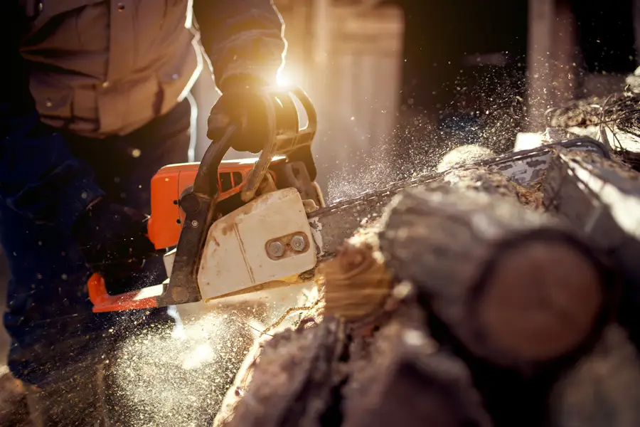 Chainsaw cutting wood