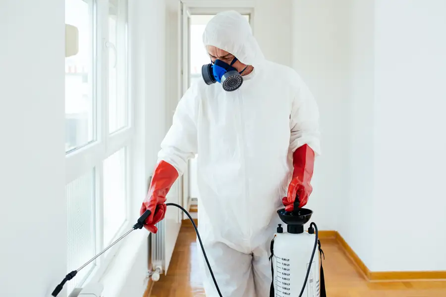 Pesticide handler spraying in home