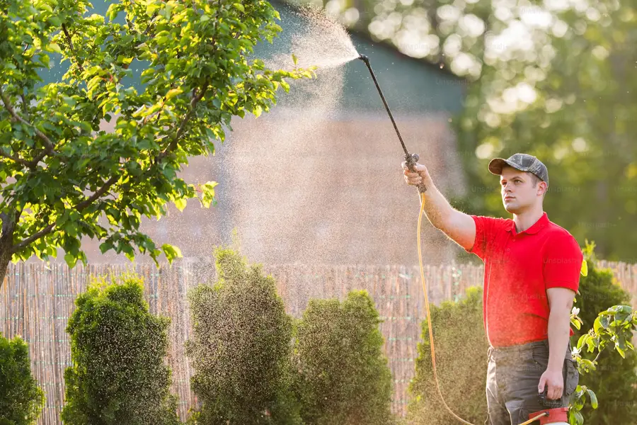Pesticide handler spraying tree