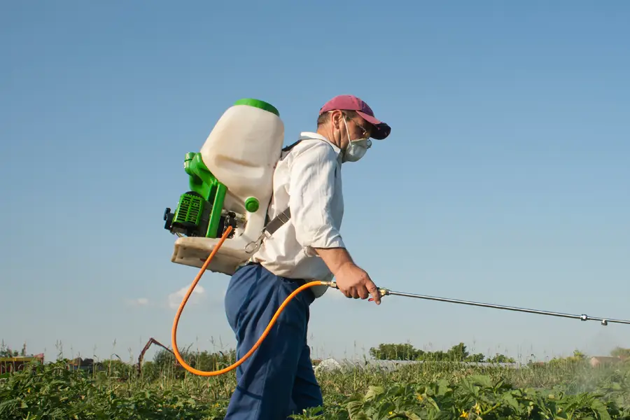 Pesticide handler spraying outdoors